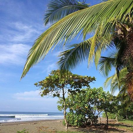 Guava Lodge Playa Matapalo Bagian luar foto