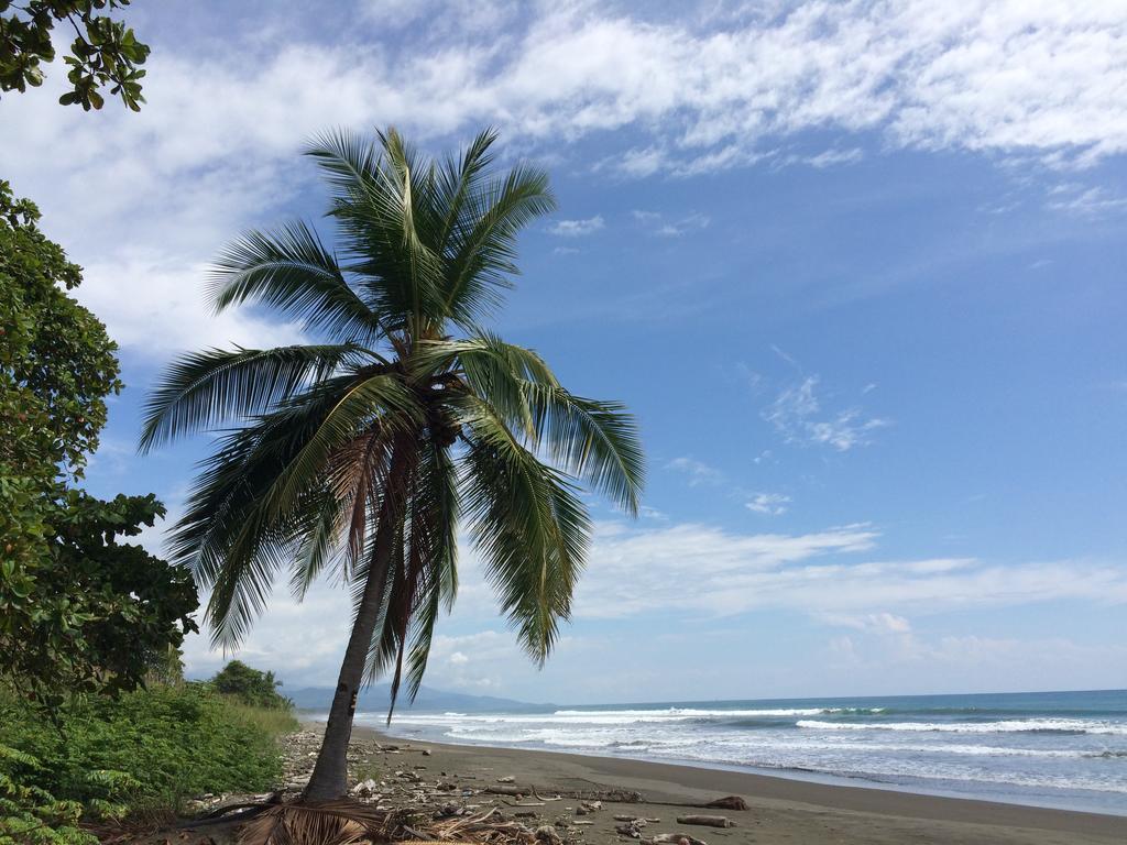 Guava Lodge Playa Matapalo Bagian luar foto
