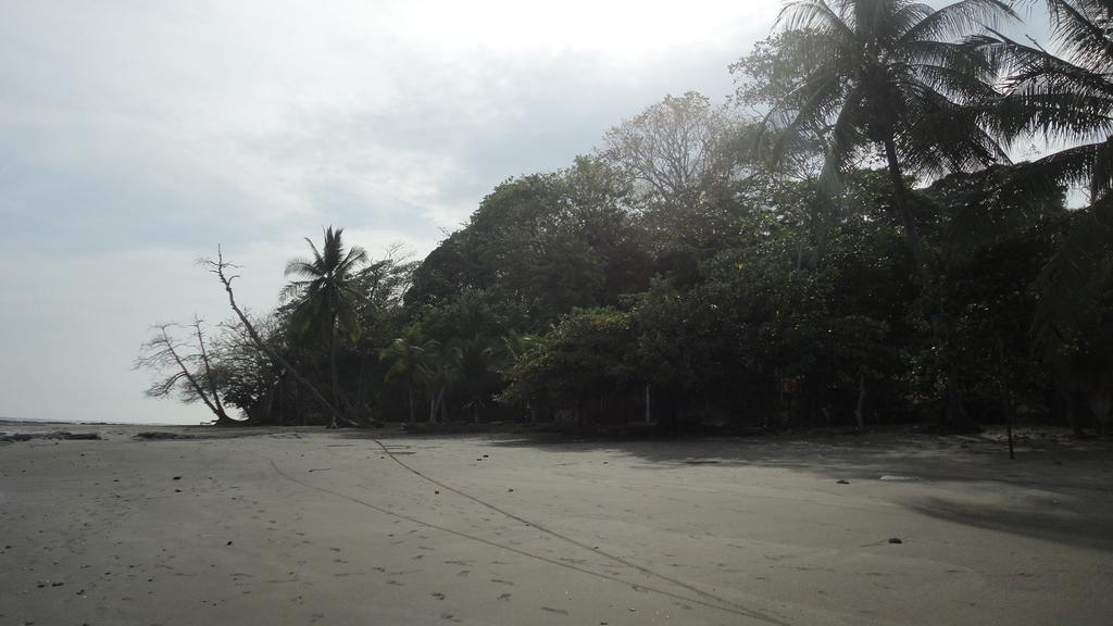 Guava Lodge Playa Matapalo Bagian luar foto