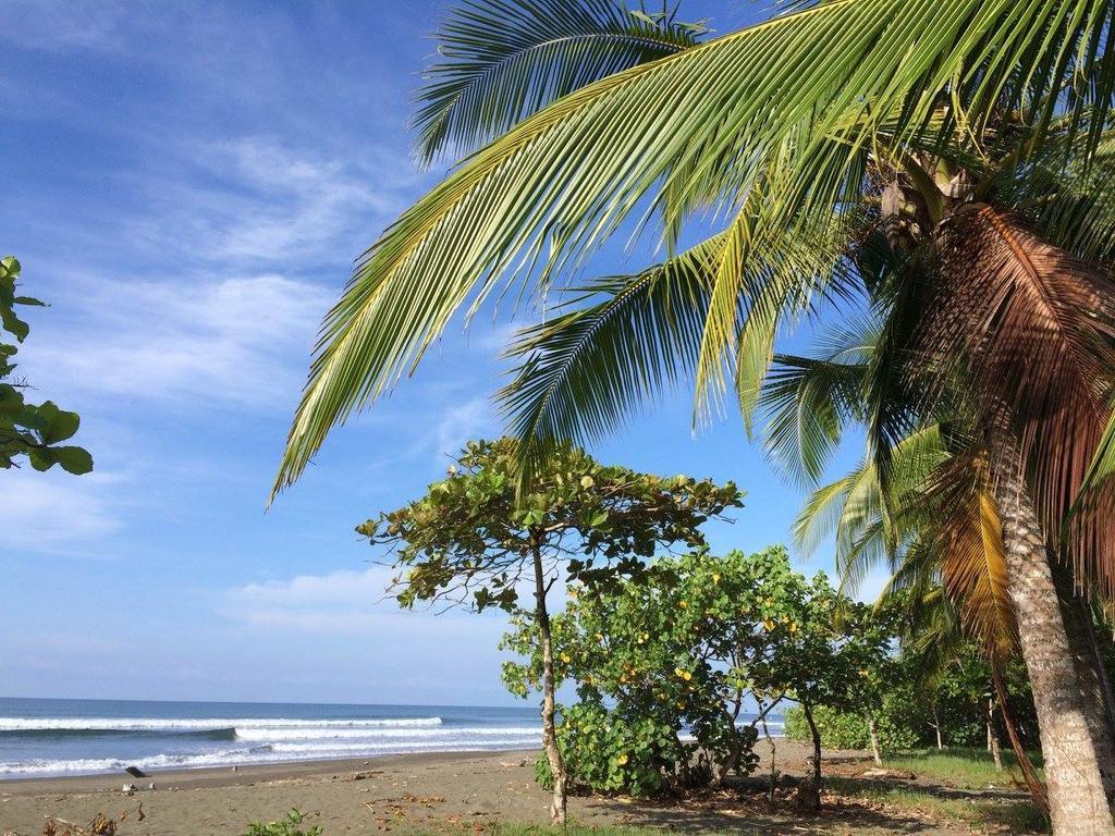 Guava Lodge Playa Matapalo Bagian luar foto