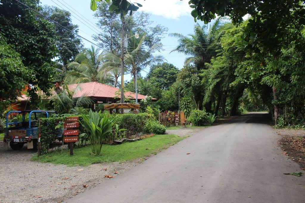 Guava Lodge Playa Matapalo Bagian luar foto