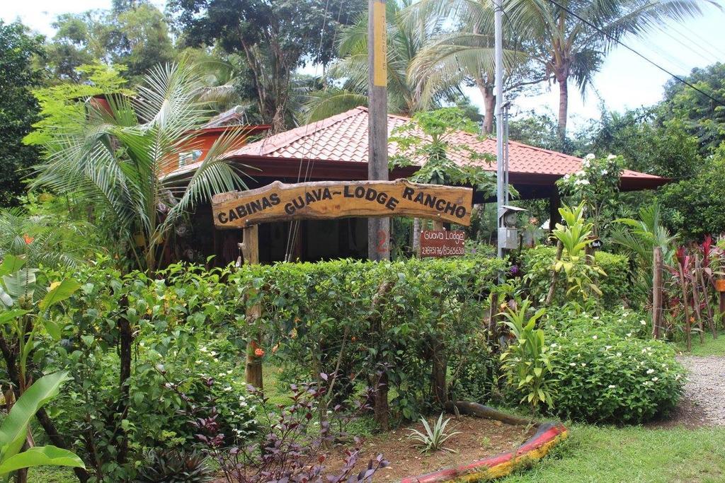 Guava Lodge Playa Matapalo Bagian luar foto