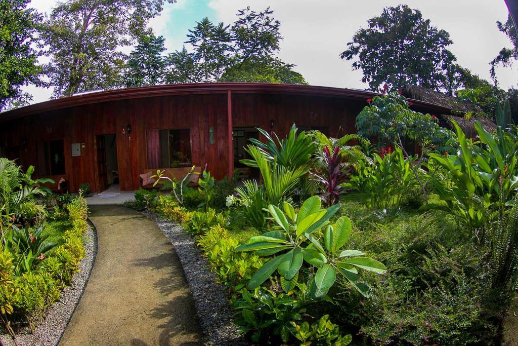 Guava Lodge Playa Matapalo Bagian luar foto