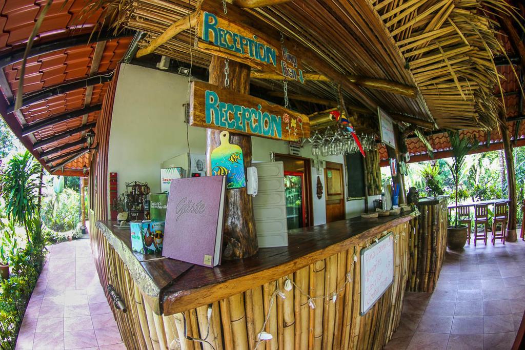 Guava Lodge Playa Matapalo Bagian luar foto